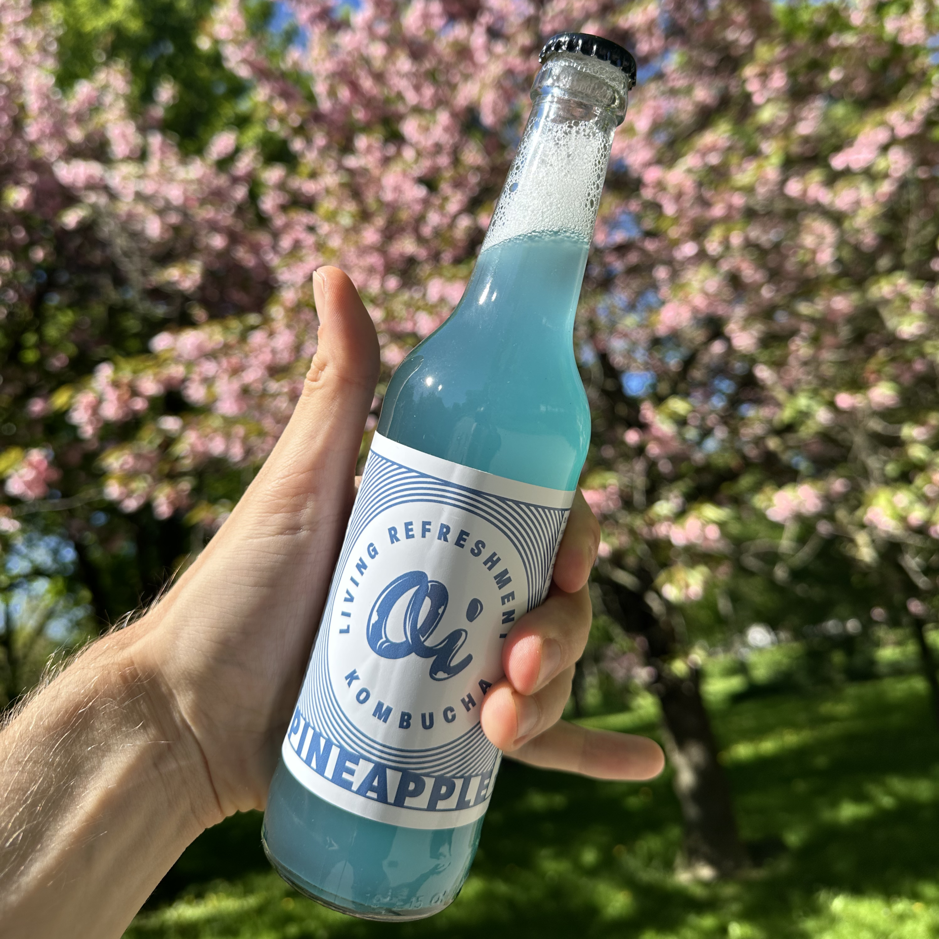Oi® Kombucha Ananás Balíček